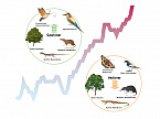 Artenvielfalt Klimawandel